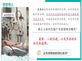 4.5 人體內(nèi)廢物的排出 - 初中生物七年級(jí)下冊(cè) 同步教學(xué)課件+教學(xué)設(shè)計(jì)（人教版2024）
