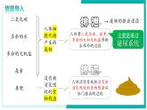 4.5 人體內(nèi)廢物的排出 - 初中生物七年級(jí)下冊(cè) 同步教學(xué)課件+教學(xué)設(shè)計(jì)（人教版2024）