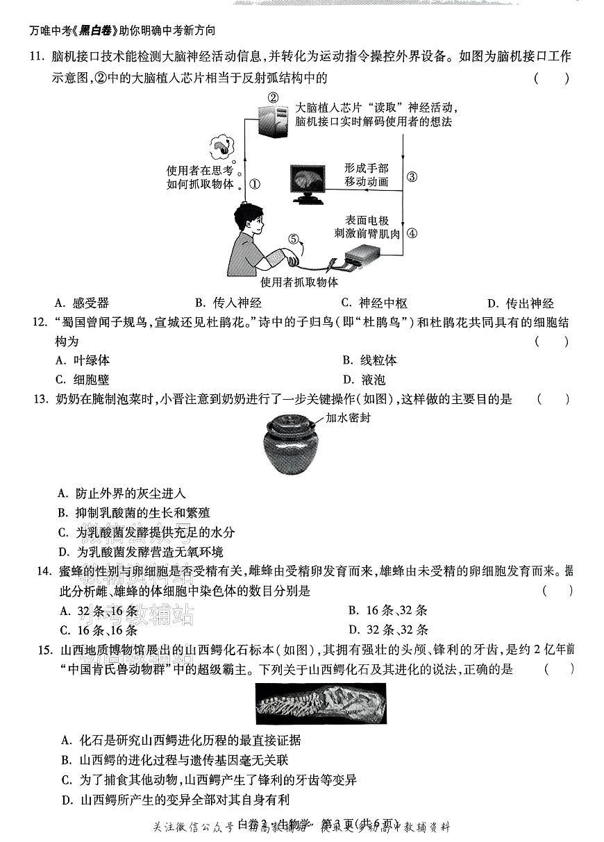 2025《万唯中考•山西黑白卷》生物白卷2第3页