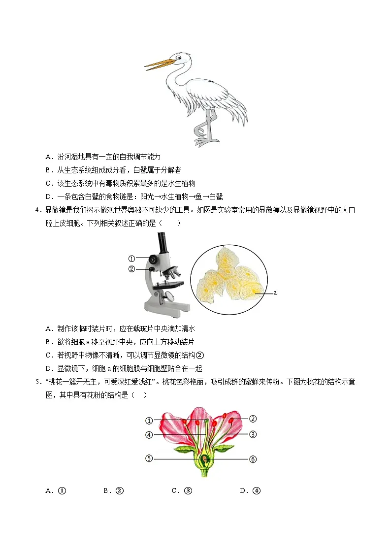 生物（连云港卷）（考试版）第2页