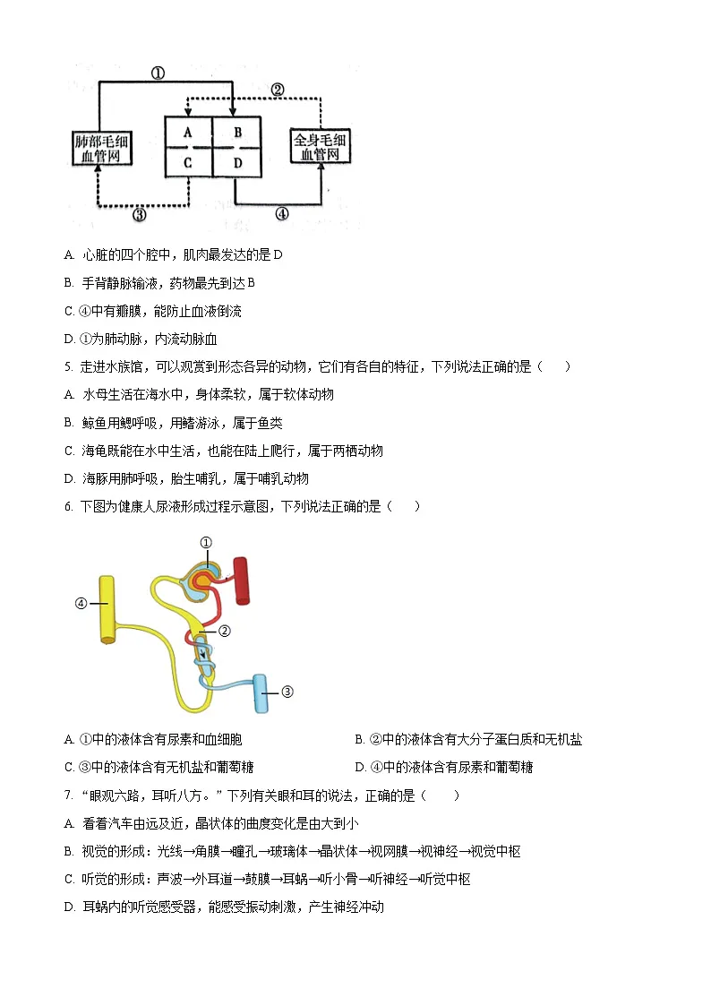 2025年辽宁省丹东市凤城市八年级二模生物试题（中考模拟）第2页