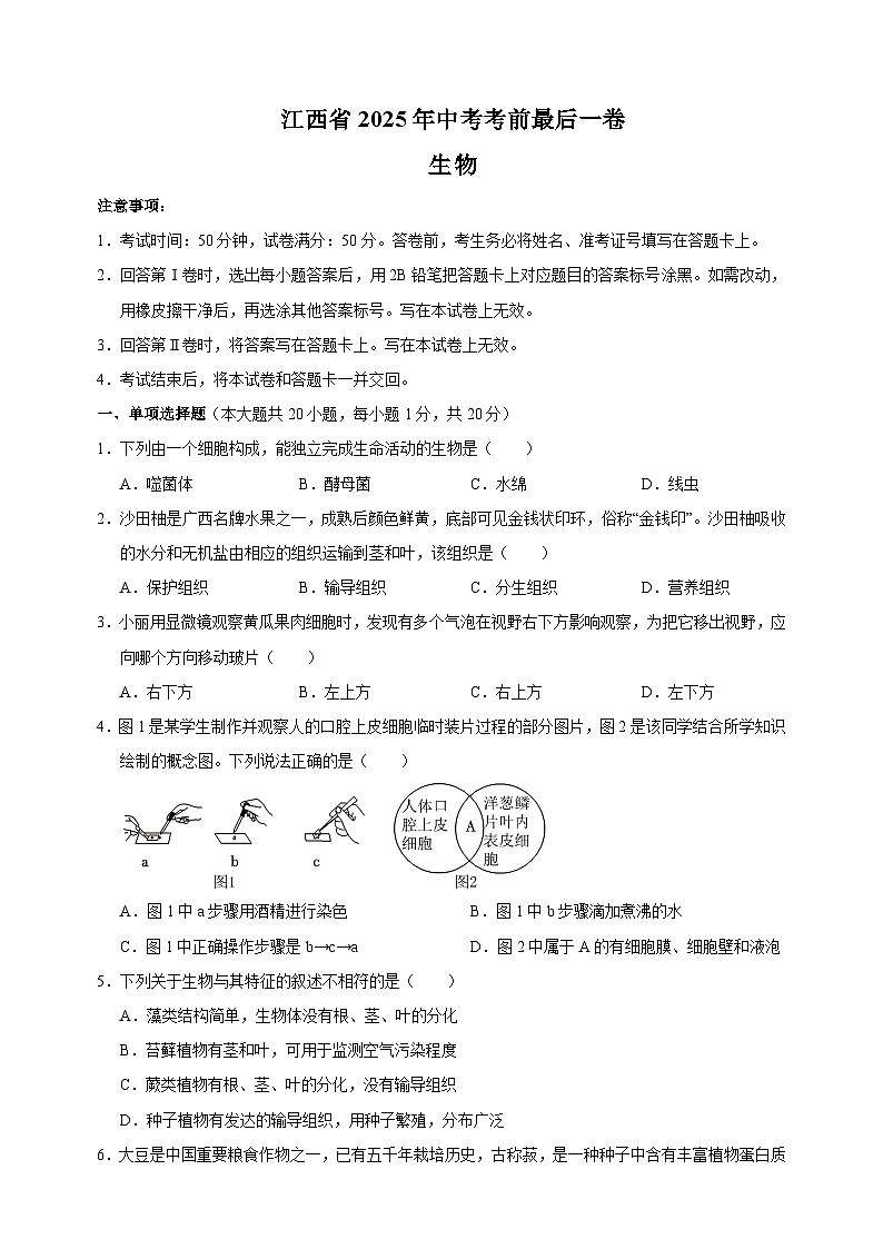 江西省2025年中考生物考前最后一卷（含答案解析）第1页