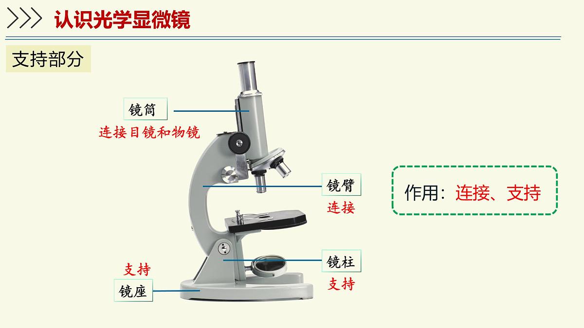1.1.1走进生物学实验室-第1课时（教学课件）——初中生物学苏教版（2024）七年级上册第8页