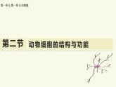1.1.2動物細(xì)胞的結(jié)構(gòu)與功能（教學(xué)課件）——初中生物學(xué)蘇教版（2024）七年級上冊