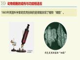 1.1.2動物細(xì)胞的結(jié)構(gòu)與功能（教學(xué)課件）——初中生物學(xué)蘇教版（2024）七年級上冊