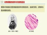 1.1.2動物細(xì)胞的結(jié)構(gòu)與功能（教學(xué)課件）——初中生物學(xué)蘇教版（2024）七年級上冊
