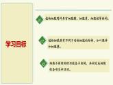 1.1.3植物細(xì)胞的結(jié)構(gòu)與功能（教學(xué)課件）——初中生物學(xué)蘇教版（2024）七年級上冊