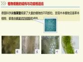 1.1.3植物細(xì)胞的結(jié)構(gòu)與功能（教學(xué)課件）——初中生物學(xué)蘇教版（2024）七年級上冊