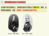 1.1.3植物細(xì)胞的結(jié)構(gòu)與功能（教學(xué)課件）——初中生物學(xué)蘇教版（2024）七年級上冊