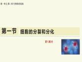 1.2.1細(xì)胞的分裂和分化-第1課時（教學(xué)課件）——初中生物學(xué)蘇教版（2024）七年級上冊