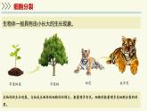 1.2.1細(xì)胞的分裂和分化-第1課時（教學(xué)課件）——初中生物學(xué)蘇教版（2024）七年級上冊