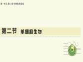 1.2.2單細(xì)胞生物（教學(xué)課件）——初中生物學(xué)蘇教版（2024）七年級上冊