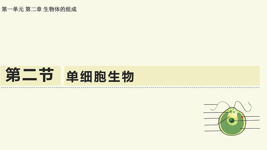 1.2.2单细胞生物（教学课件）——初中生物学苏教版（2024）七年级上册第1页