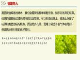 1.2.2單細(xì)胞生物（教學(xué)課件）——初中生物學(xué)蘇教版（2024）七年級上冊