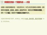 1.2.2單細(xì)胞生物（教學(xué)課件）——初中生物學(xué)蘇教版（2024）七年級上冊