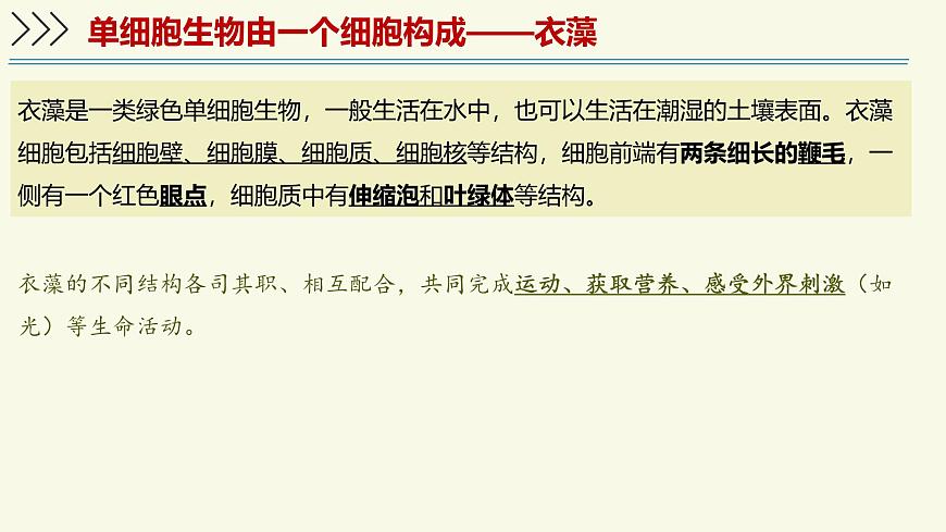 1.2.2单细胞生物（教学课件）——初中生物学苏教版（2024）七年级上册第5页