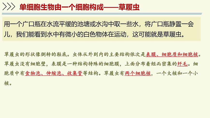 1.2.2单细胞生物（教学课件）——初中生物学苏教版（2024）七年级上册第8页