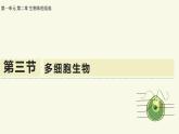 1.2.3多細(xì)胞生物（教學(xué)課件）——初中生物學(xué)蘇教版（2024）七年級上冊