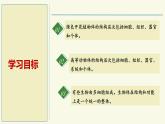 1.2.3多細(xì)胞生物（教學(xué)課件）——初中生物學(xué)蘇教版（2024）七年級上冊