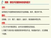 1.2.3多細(xì)胞生物（教學(xué)課件）——初中生物學(xué)蘇教版（2024）七年級上冊