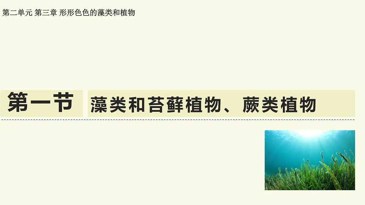 2.3.1藻类和苔藓植物、蕨类植物（教学课件）——初中生物学苏教版（2024）七年级上册第1页