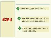 2.3.1藻類和苔蘚植物、蕨類植物（教學(xué)課件）——初中生物學(xué)蘇教版（2024）七年級上冊