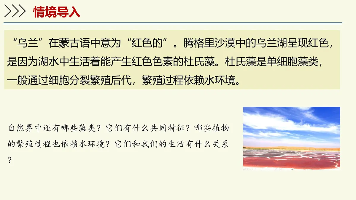 2.3.1藻类和苔藓植物、蕨类植物（教学课件）——初中生物学苏教版（2024）七年级上册第3页