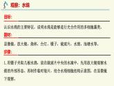 2.3.1藻類和苔蘚植物、蕨類植物（教學(xué)課件）——初中生物學(xué)蘇教版（2024）七年級上冊