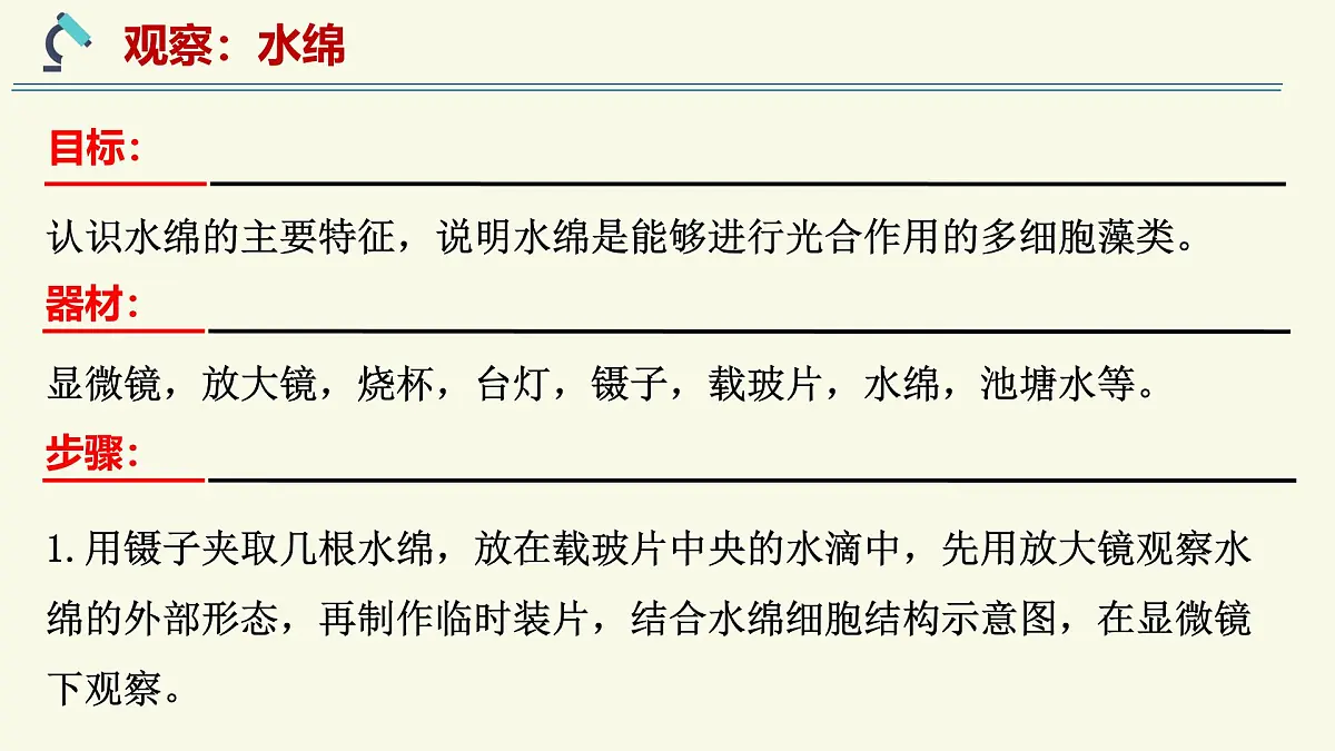 2.3.1藻类和苔藓植物、蕨类植物（教学课件）——初中生物学苏教版（2024）七年级上册第5页