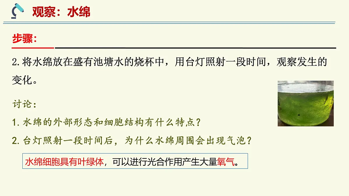 2.3.1藻类和苔藓植物、蕨类植物（教学课件）——初中生物学苏教版（2024）七年级上册第7页