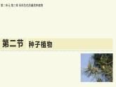 2.3.2種子植物（教學(xué)課件）——初中生物學(xué)蘇教版（2024）七年級上冊