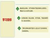 2.4.1無脊椎動物（教學(xué)課件）——初中生物學(xué)蘇教版（2024）七年級上冊