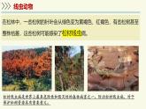 2.4.1無脊椎動物（教學(xué)課件）——初中生物學(xué)蘇教版（2024）七年級上冊