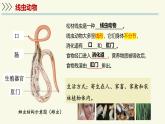 2.4.1無脊椎動物（教學(xué)課件）——初中生物學(xué)蘇教版（2024）七年級上冊