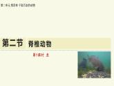 2.4.2脊椎動物-第1課時 魚（教學(xué)課件）——初中生物學(xué)蘇教版（2024）七年級上冊