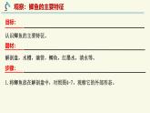 2.4.2脊椎動物-第1課時 魚（教學(xué)課件）——初中生物學(xué)蘇教版（2024）七年級上冊