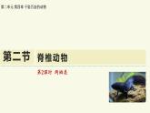 2.4.2脊椎動物-第2課時 兩棲類（教學(xué)課件）——初中生物學(xué)蘇教版（2024）七年級上冊