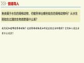 2.4.2脊椎動物-第2課時 兩棲類（教學(xué)課件）——初中生物學(xué)蘇教版（2024）七年級上冊