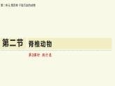 2.4.2脊椎動物-第3課時 爬行類（教學(xué)課件）——初中生物學(xué)蘇教版（2024）七年級上冊