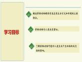 2.4.2脊椎動物-第3課時 爬行類（教學(xué)課件）——初中生物學(xué)蘇教版（2024）七年級上冊