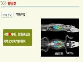 2.4.2脊椎動物-第3課時 爬行類（教學(xué)課件）——初中生物學(xué)蘇教版（2024）七年級上冊