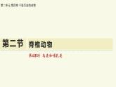 2.4.2脊椎動物-第4課時 鳥類和哺乳類（教學(xué)課件）——初中生物學(xué)蘇教版（2024）七年級上冊