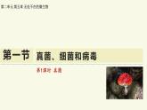 2.5.1真菌、細(xì)菌和病毒-第1課時 真菌（教學(xué)課件）——初中生物學(xué)蘇教版（2024）七年級上冊