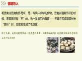 2.5.1真菌、細(xì)菌和病毒-第1課時 真菌（教學(xué)課件）——初中生物學(xué)蘇教版（2024）七年級上冊