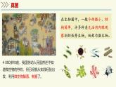2.5.1真菌、細(xì)菌和病毒-第1課時 真菌（教學(xué)課件）——初中生物學(xué)蘇教版（2024）七年級上冊