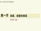 2.5.1真菌、細(xì)菌和病毒-第2課時 細(xì)菌（教學(xué)課件）——初中生物學(xué)蘇教版（2024）七年級上冊