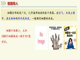 2.5.1真菌、細(xì)菌和病毒-第2課時 細(xì)菌（教學(xué)課件）——初中生物學(xué)蘇教版（2024）七年級上冊
