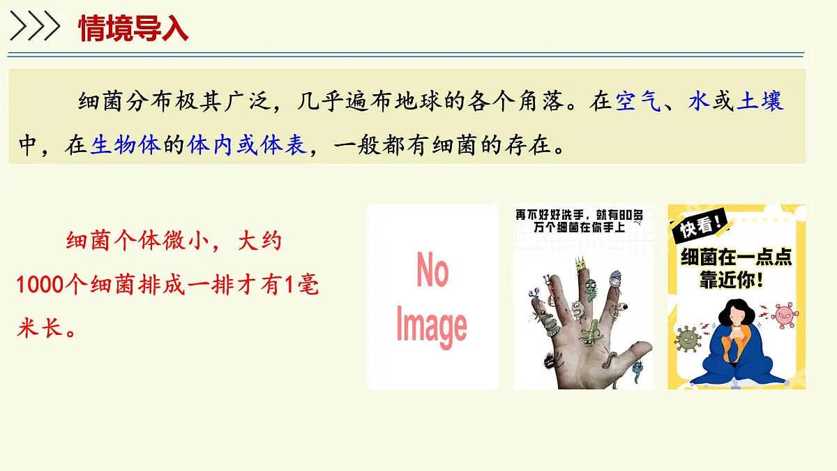2.5.1真菌、细菌和病毒-第2课时 细菌（教学课件）——初中生物学苏教版（2024）七年级上册第3页
