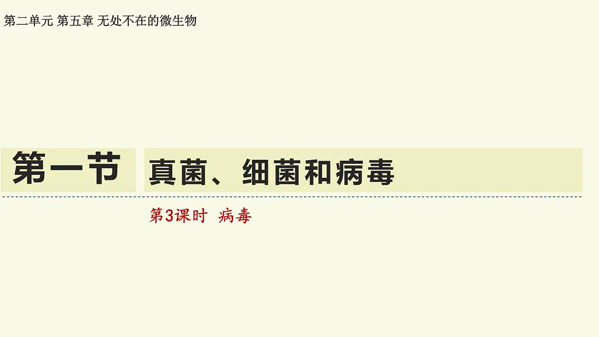2.5.1真菌、细菌和病毒-第3课时 病毒（教学课件）——初中生物学苏教版（2024）七年级上册第1页