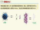 2.5.1真菌、細(xì)菌和病毒-第3課時 病毒（教學(xué)課件）——初中生物學(xué)蘇教版（2024）七年級上冊